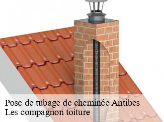 Pose de tubage de cheminée  antibes-06600 Les compagnon toiture