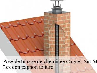 Pose de tubage de cheminée  cagnes-sur-mer-06800 Les compagnon toiture