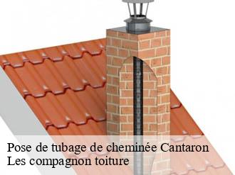 Pose de tubage de cheminée  cantaron-06340 Les compagnon toiture