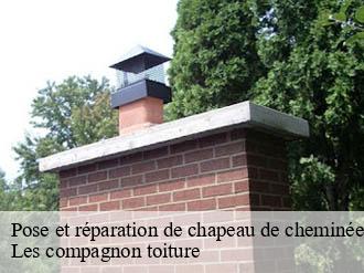 Pose et réparation de chapeau de cheminée  la-rochette-06260 Les compagnon toiture