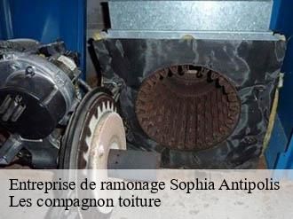 Entreprise de ramonage  sophia-antipolis-06560 Les compagnon toiture