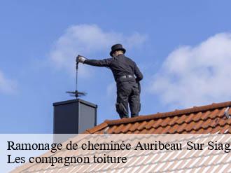 Ramonage de cheminée  auribeau-sur-siagne-06810 Les compagnon toiture