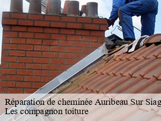 Réparation de cheminée  auribeau-sur-siagne-06810 Les compagnon toiture