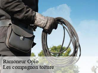 Ramoneur  opio-06650 Les compagnon toiture