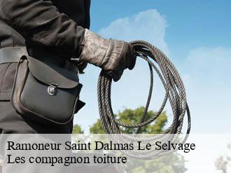 Ramoneur  saint-dalmas-le-selvage-06660 Les compagnon toiture