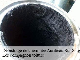 Débistrage de cheminée  auribeau-sur-siagne-06810 Les compagnon toiture